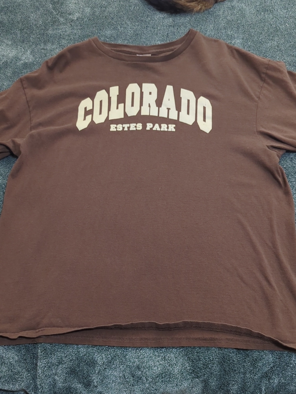 Delta Brown 'Colorado Estes Park' Short Sleeve Tee